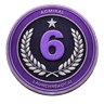 Level 6 badge